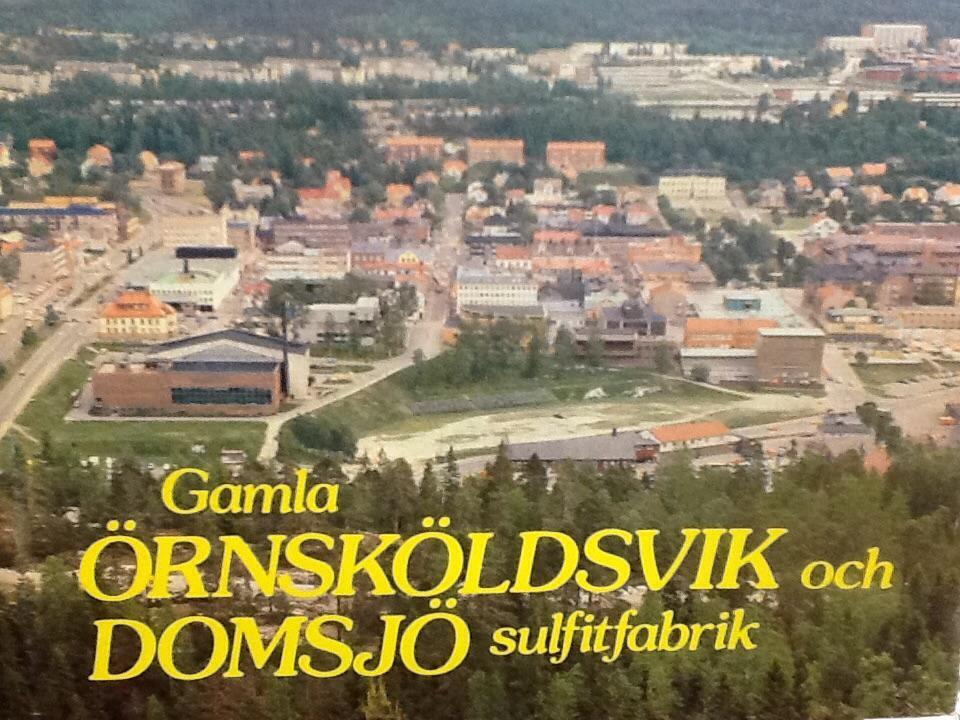 Gamla &Ouml;rnsk&ouml;ldsvik och Domsj&ouml; sulfitfabrik : m&auml;nniskor och episoder