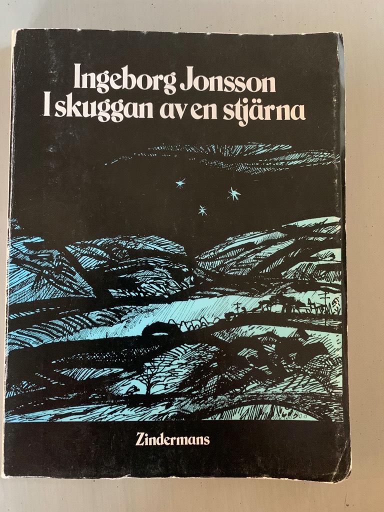 I skuggan av en stj&auml;rna