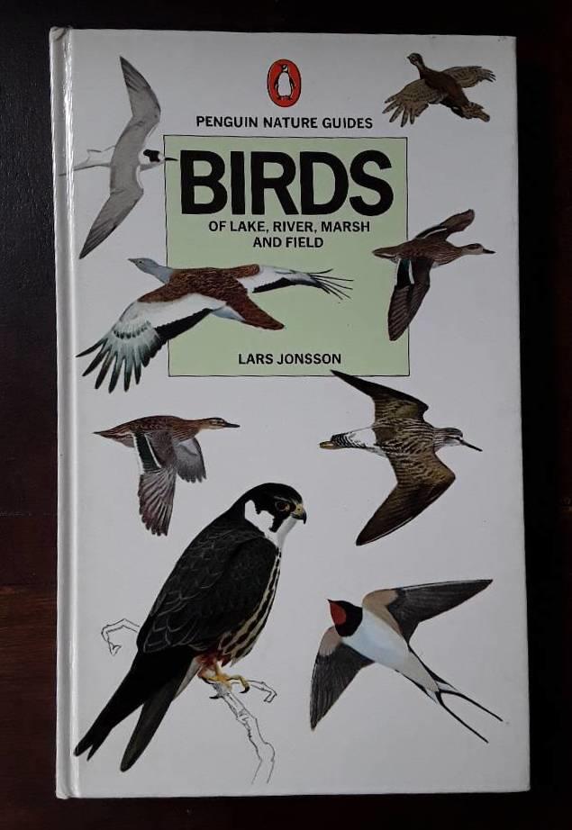 Birds of lake, river, marsh and field