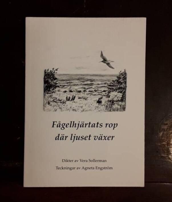 F&aring;gelhj&auml;rtats rop d&auml;r ljuset v&auml;xer