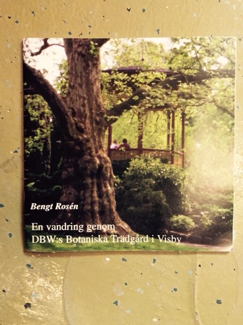 En vandring genom DBW:s botaniska tr&auml;dg&aring;rd i Visby