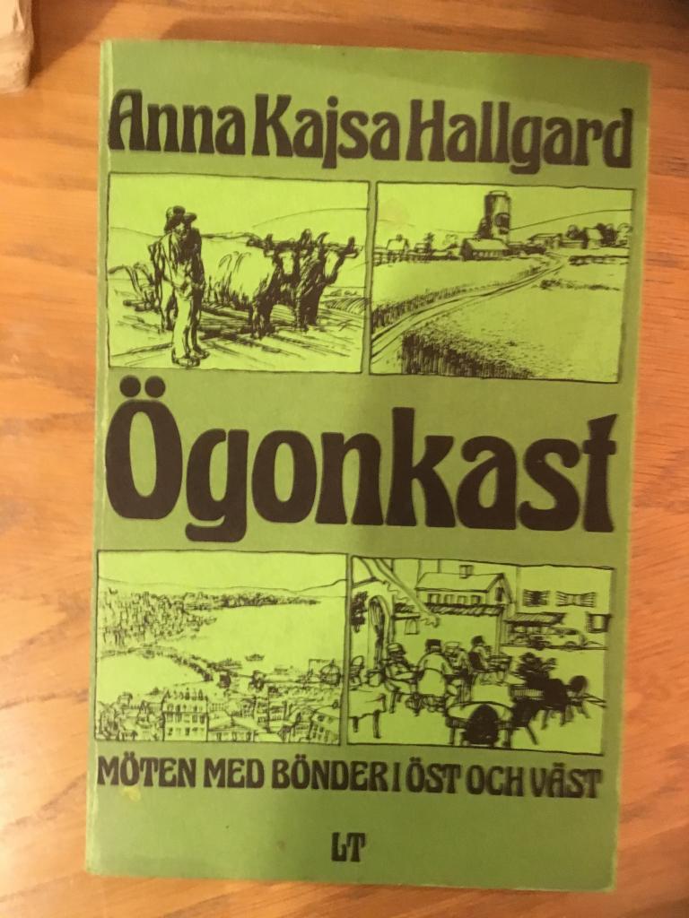 &Ouml;gonkast : m&ouml;ten med b&ouml;nder i &ouml;st och v&auml;st