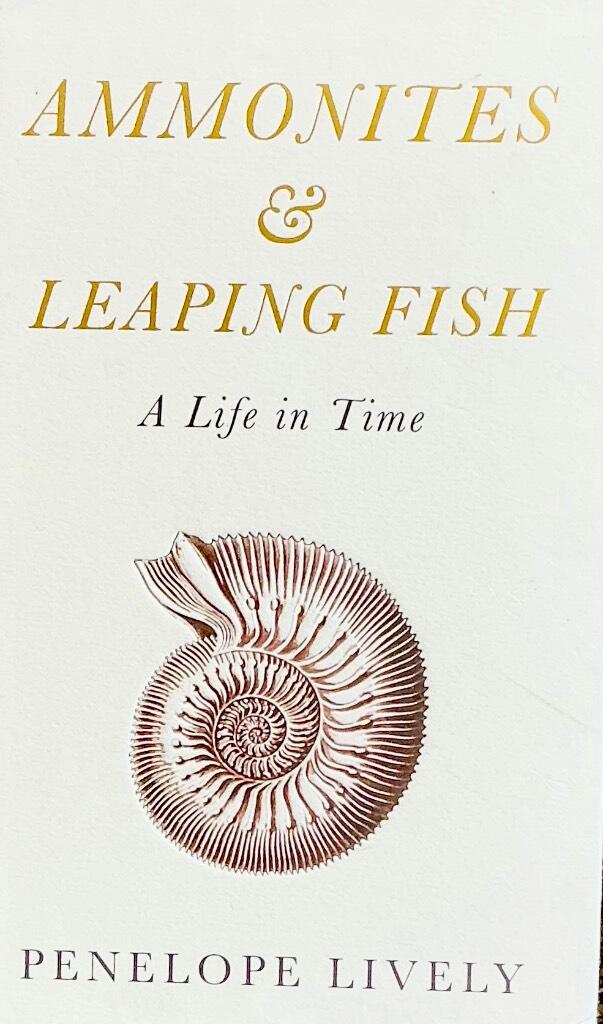 Ammonites and leaping fish