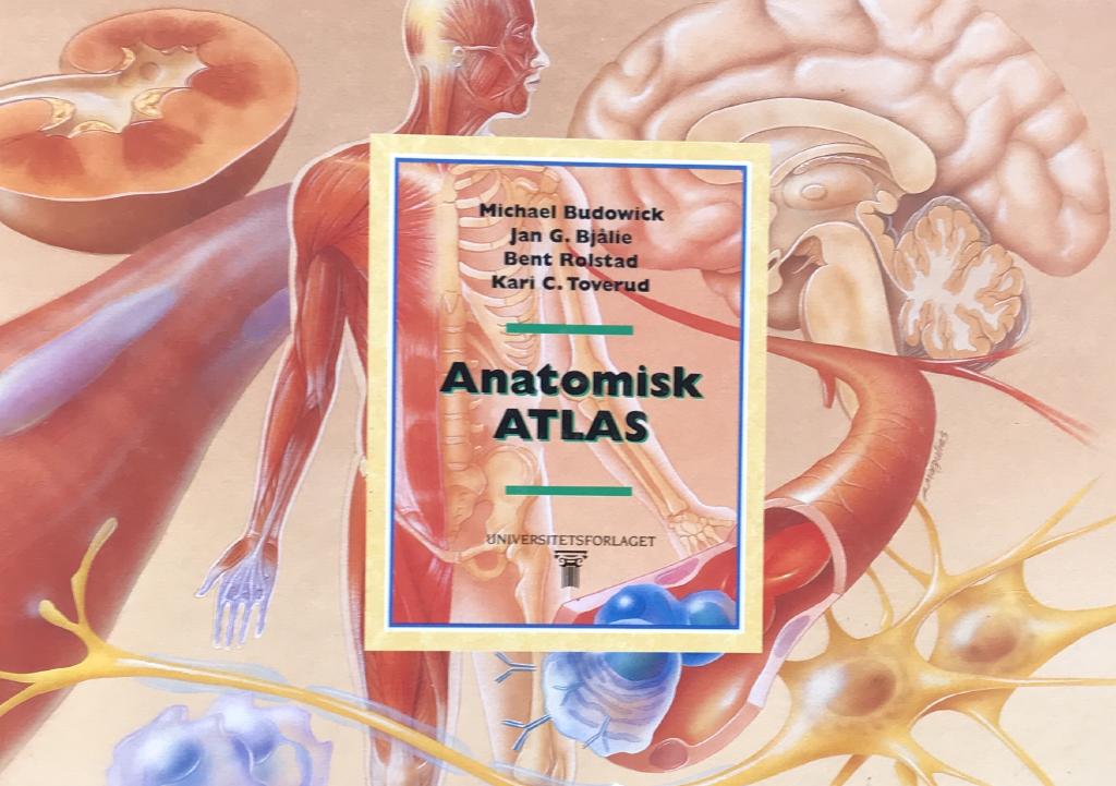Anatomisk atlas