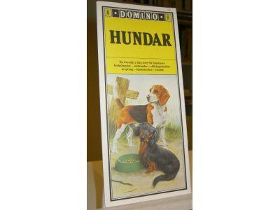 Domino : en &ouml;versikt i f&auml;rg