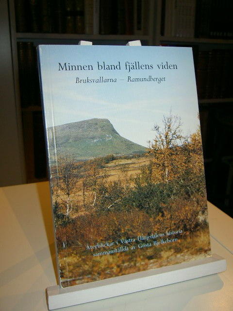 Minnen bland fjällens viden : Bruksvallarna - Ramundberget : återblickar i västra Härjedalens historia