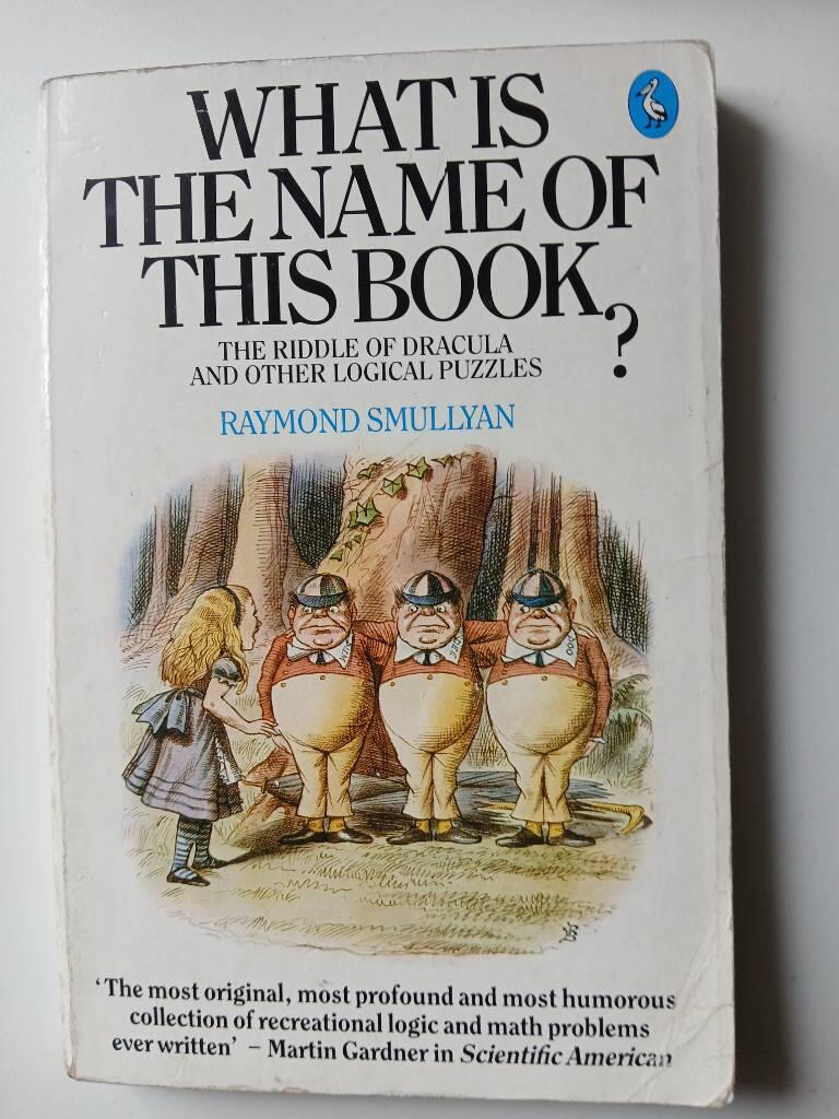 What is the name of this book? - the riddle of Dracula and other logical puzzles