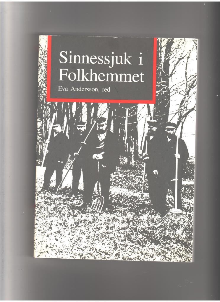 Sinnessjuk i folkhemmet : vård, arbete och dagligt liv vid S:t Lars sjukhus i Lund 1938-1958