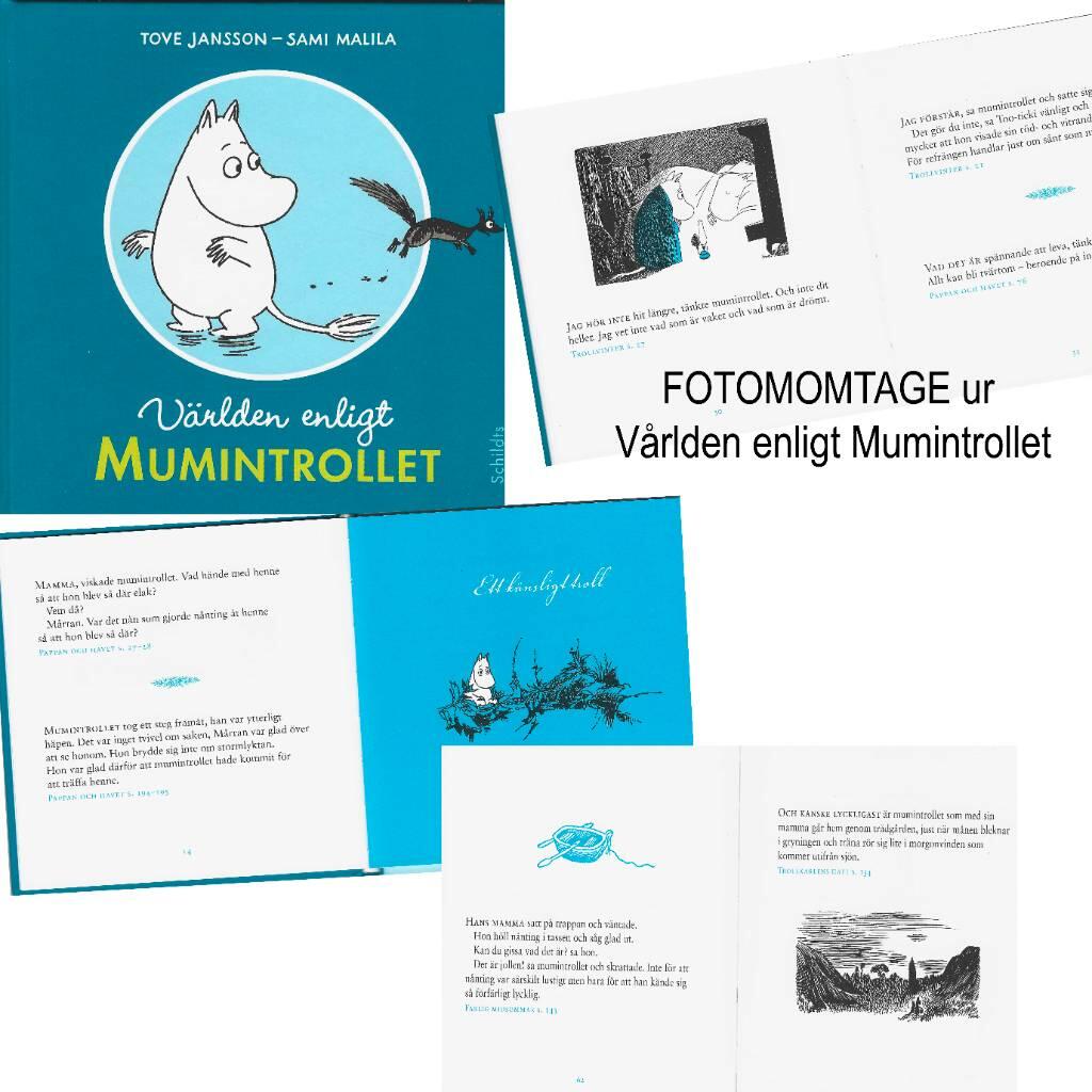 V&auml;rlden enligt Mumintrollet