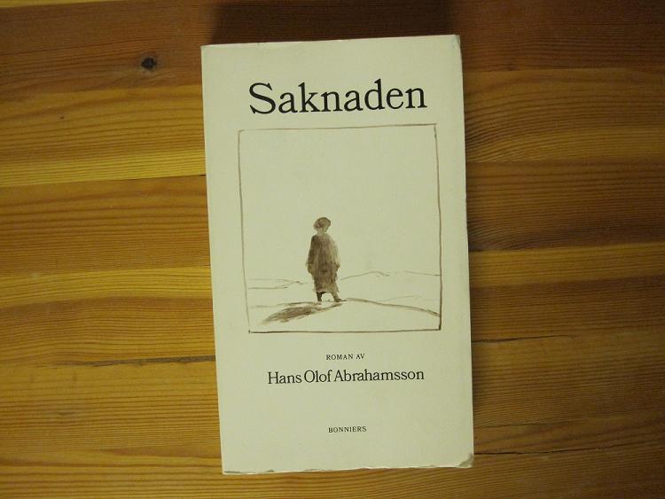 Saknaden : [roman]