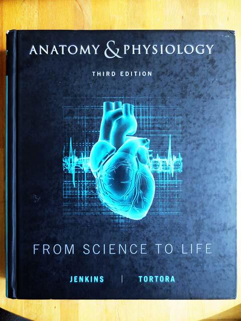 Anatomy and Physiology