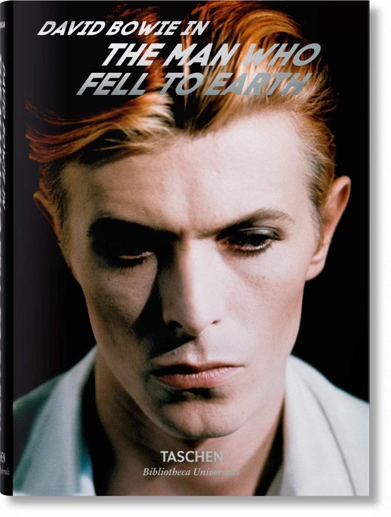 David Bowie - the man who fell to Earth
