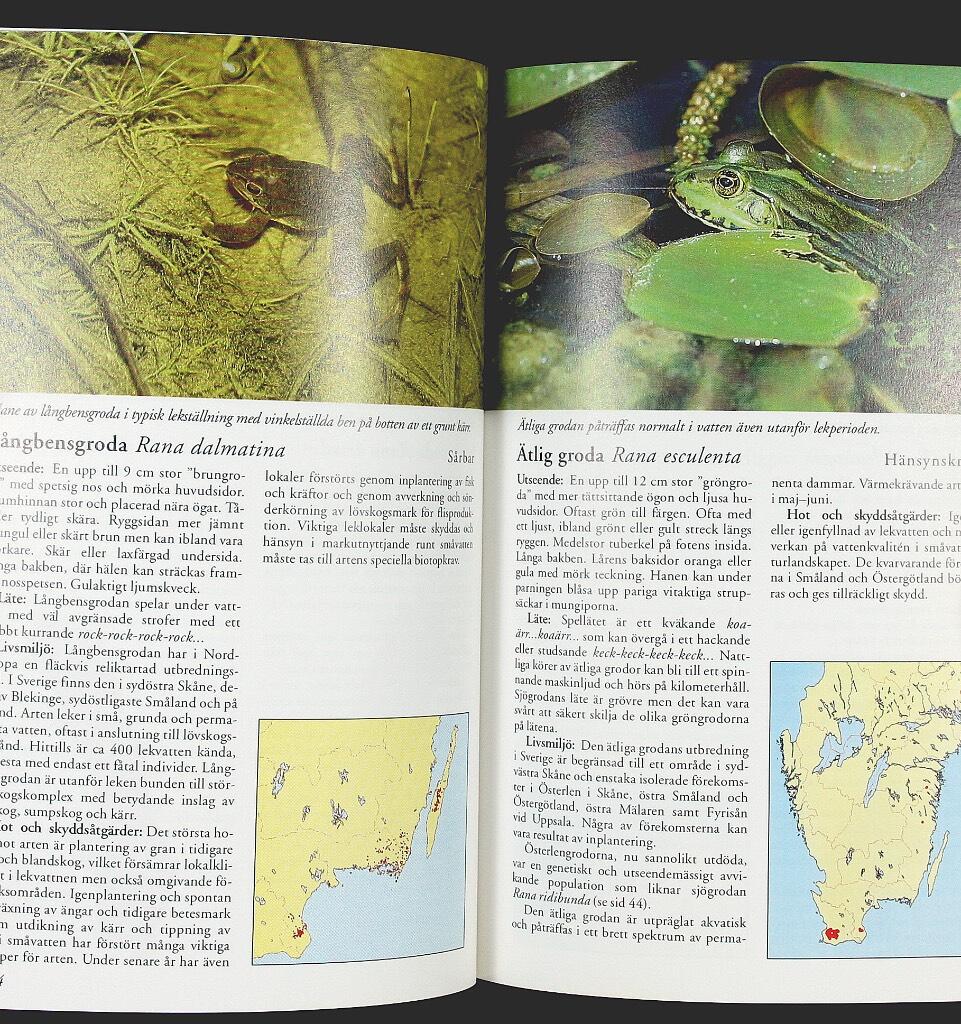 Sveriges grodor, &ouml;dlor och ormar : f&auml;ltguide och faktasamling