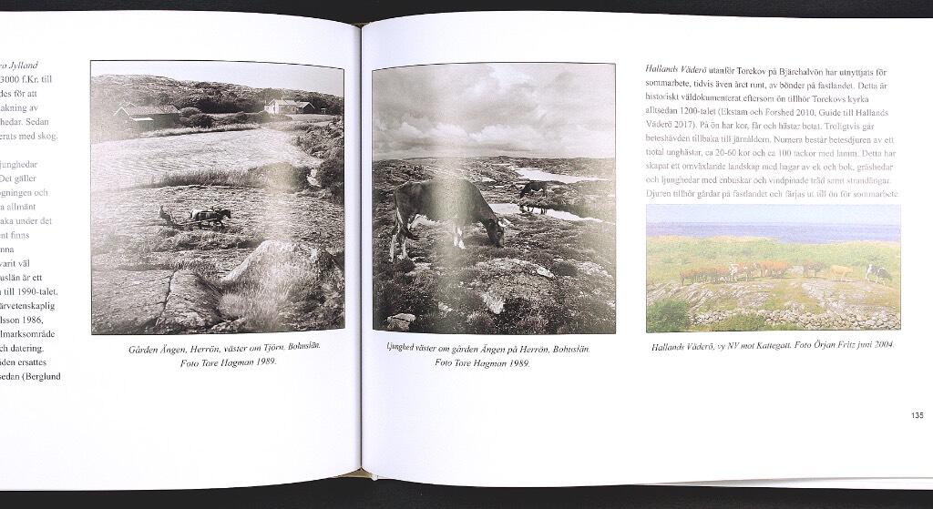 &Ouml;stra sk&auml;rg&aring;rden i Blekinge - natur och kultur under 4000 &aring;r