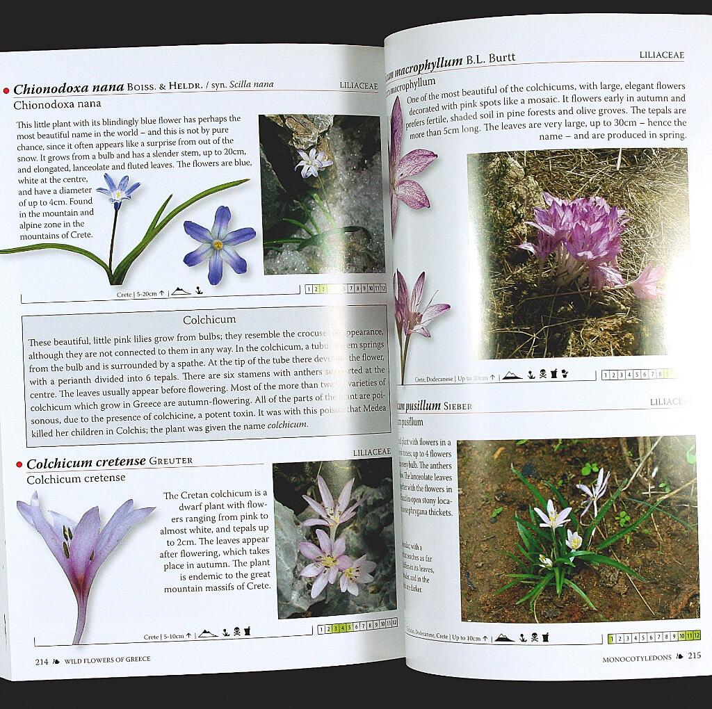 Wild flowers of Greece