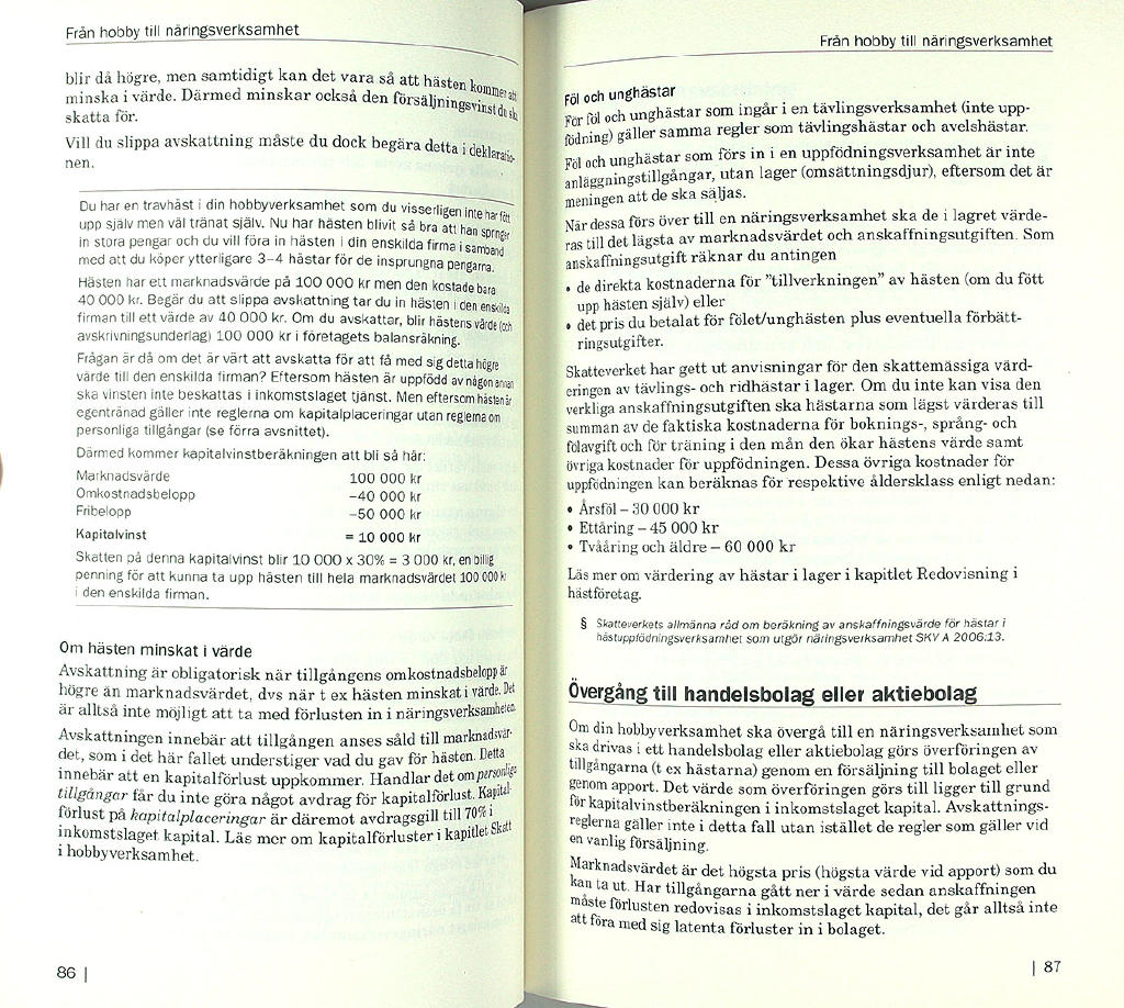 H&auml;stverksamhet : praktisk handbok f&ouml;r dig med h&auml;stf&ouml;retag