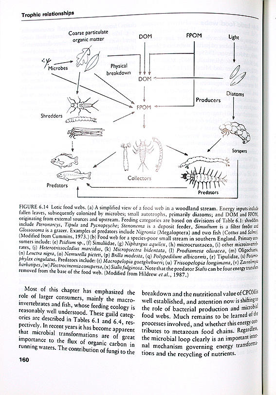 Stream ecology : structure and function of running waters