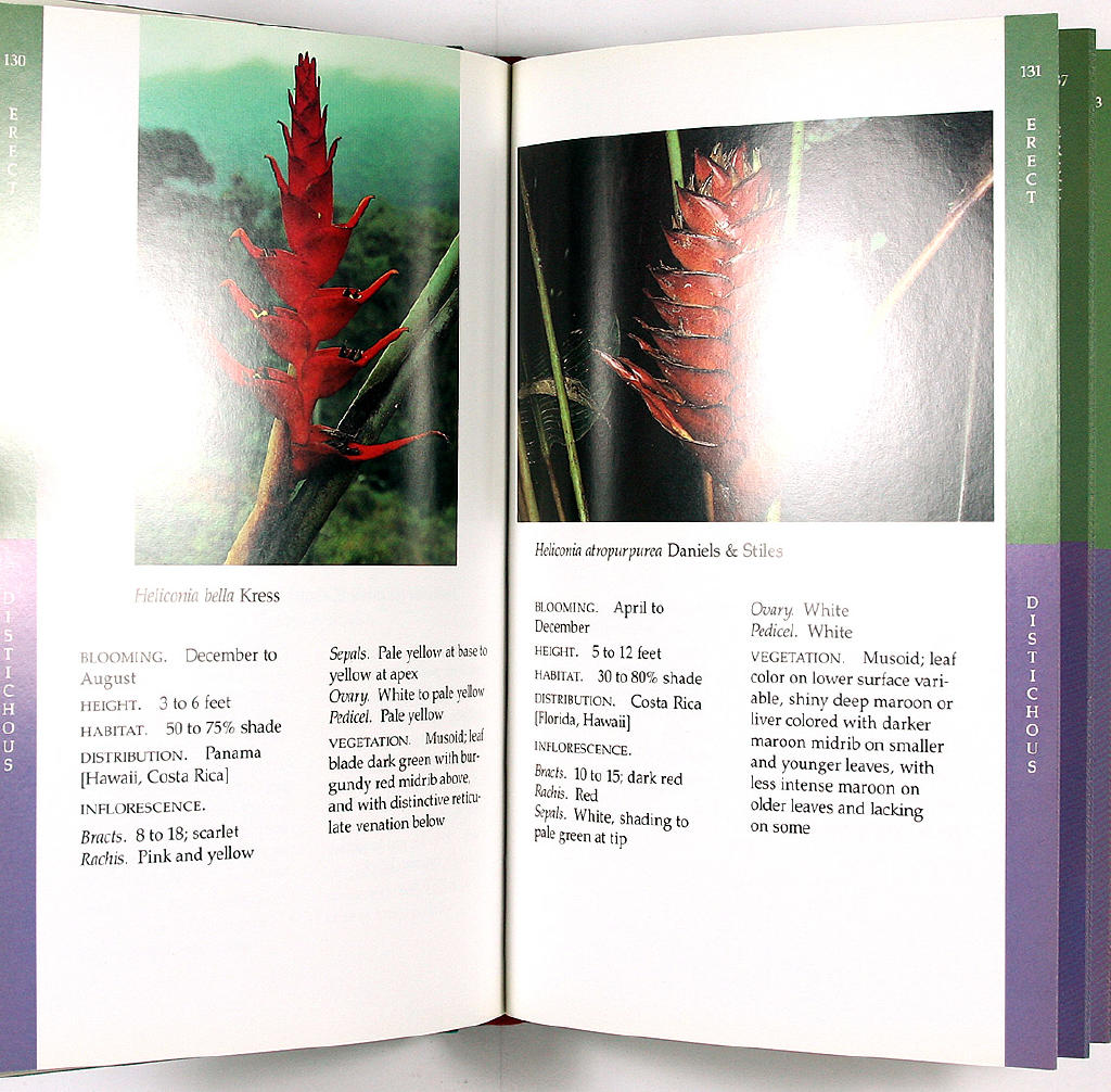 Heliconia : an identification guide