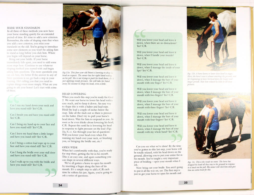 Clicker training for your horse