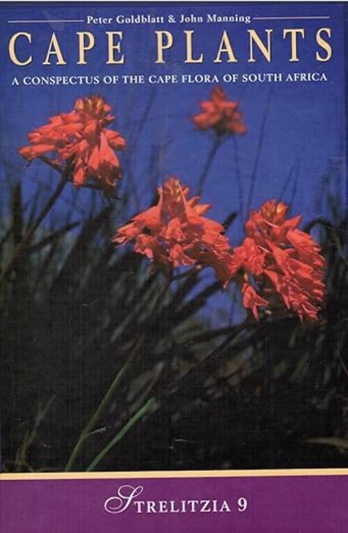 Cape plants