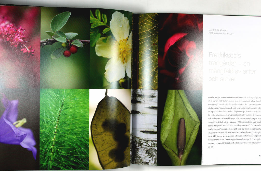 Fredriksdal : museer och tr&auml;dg&aring;rdar