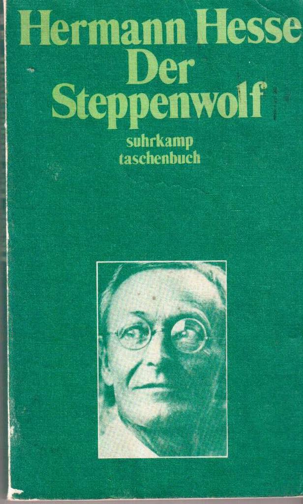 Der Steppenwolf : Erz&auml;hlung
