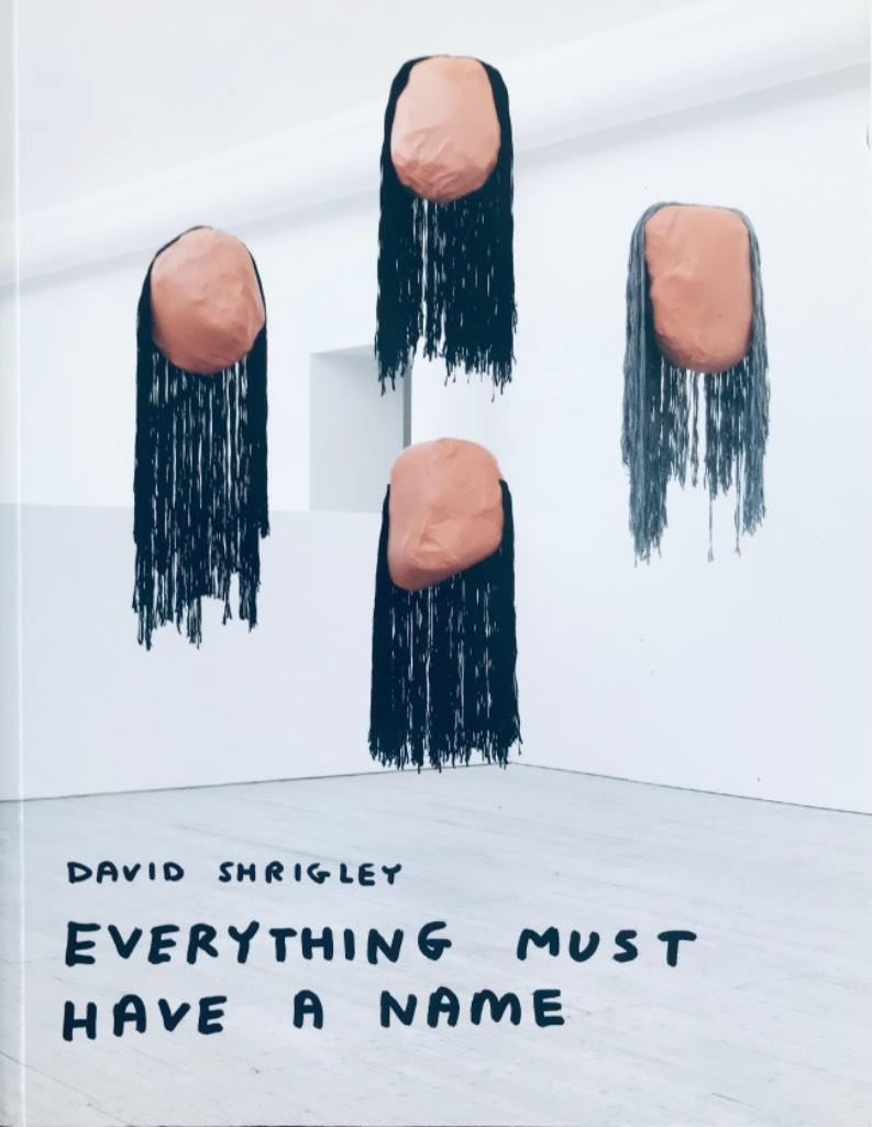 David Shrigley - everything must have a name