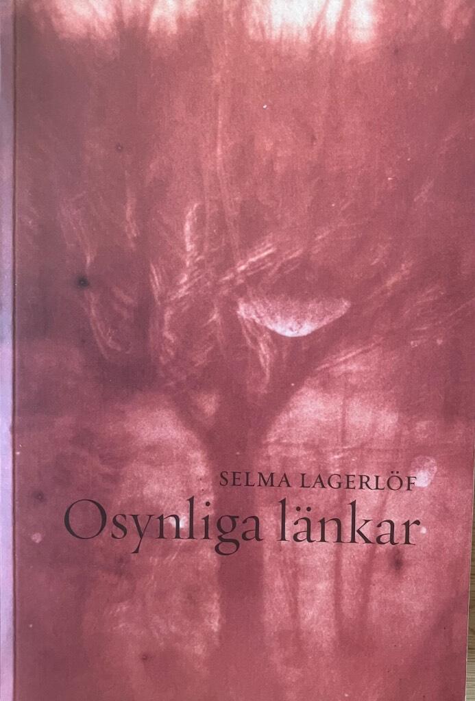 Osynliga l&auml;nkar