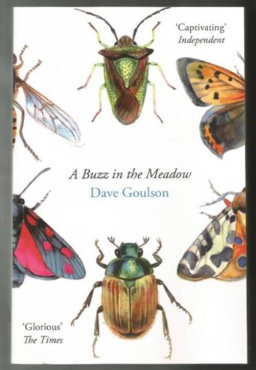 A buzz in the meadow