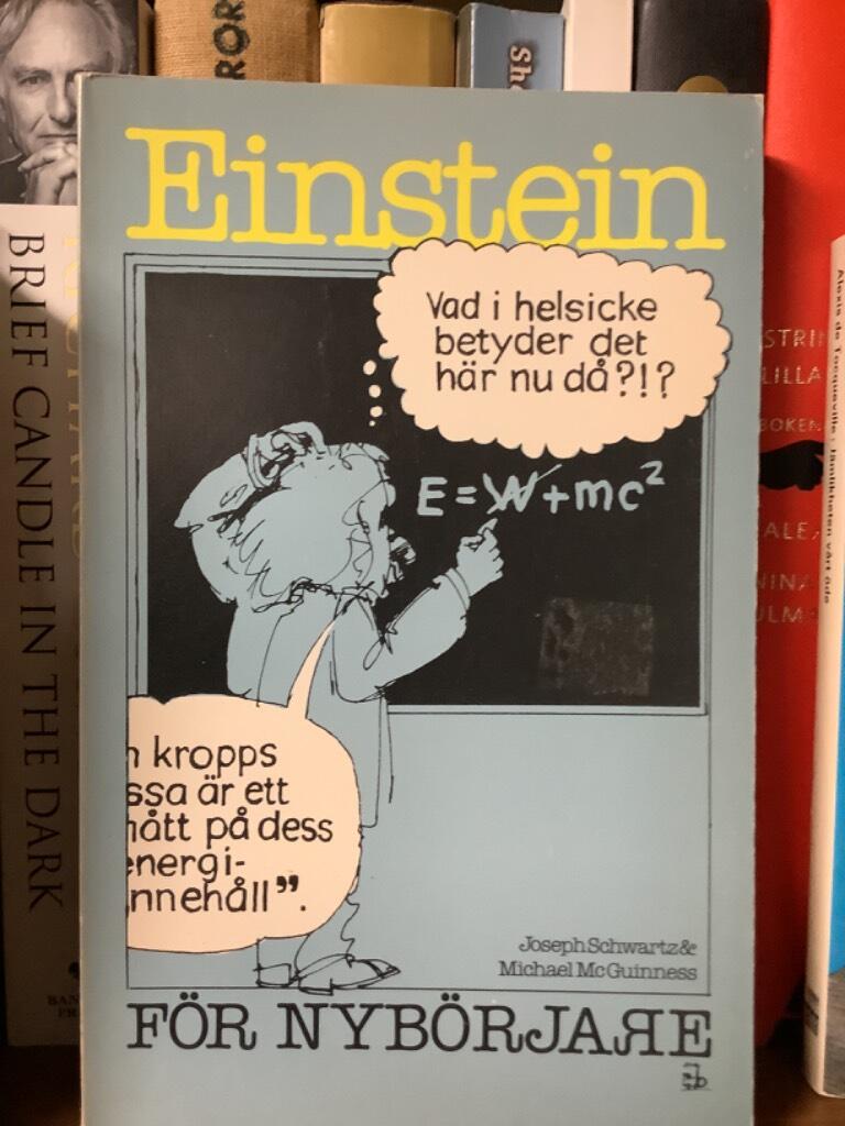 Einstein f&ouml;r nyb&ouml;rjare
