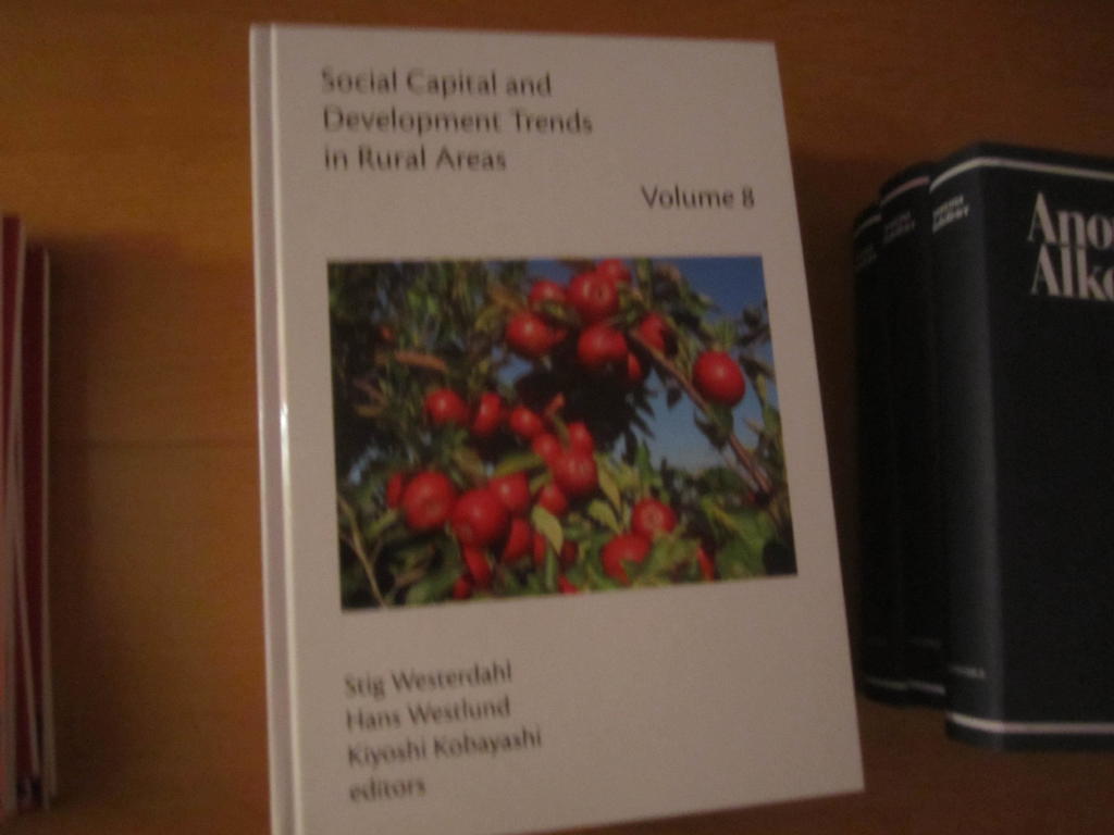 Social capital and development trends in rural areas