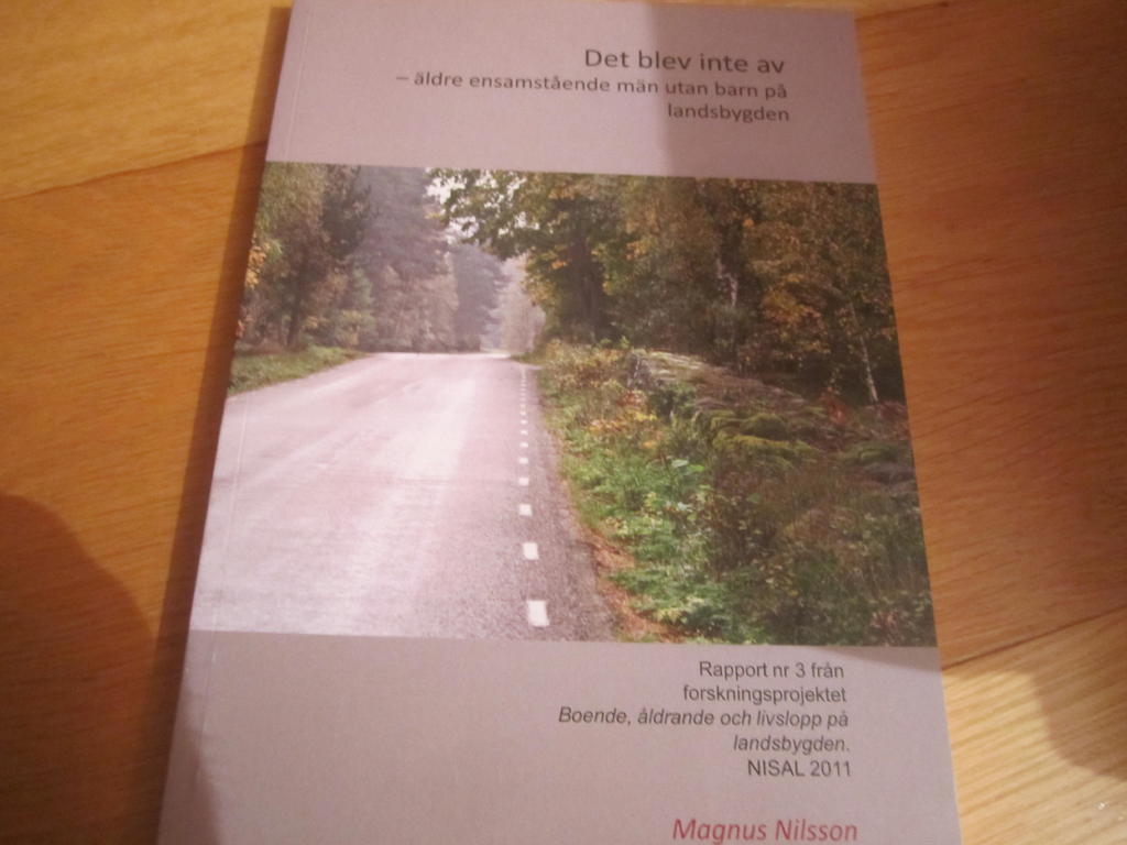 Det blev inte av : &auml;ldre ensamst&aring;ende m&auml;n utan barn p&aring; landsbygden [Elektronisk resurs] rapport nr 3 fr&aring;n forskningsprojektet Boende, &aring;ldrande, livslopp p&aring; landsbygden