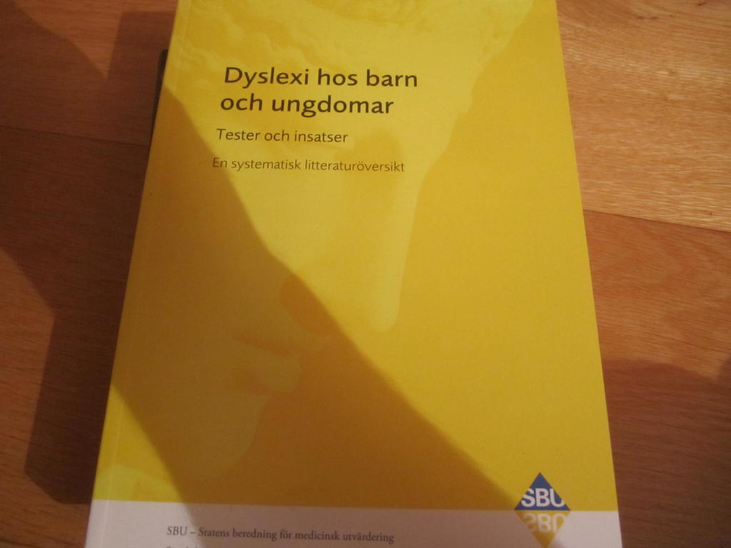 Dyslexi hos barn och ungdomar : tester och insatser : en systematisk litteratur&ouml;versikt