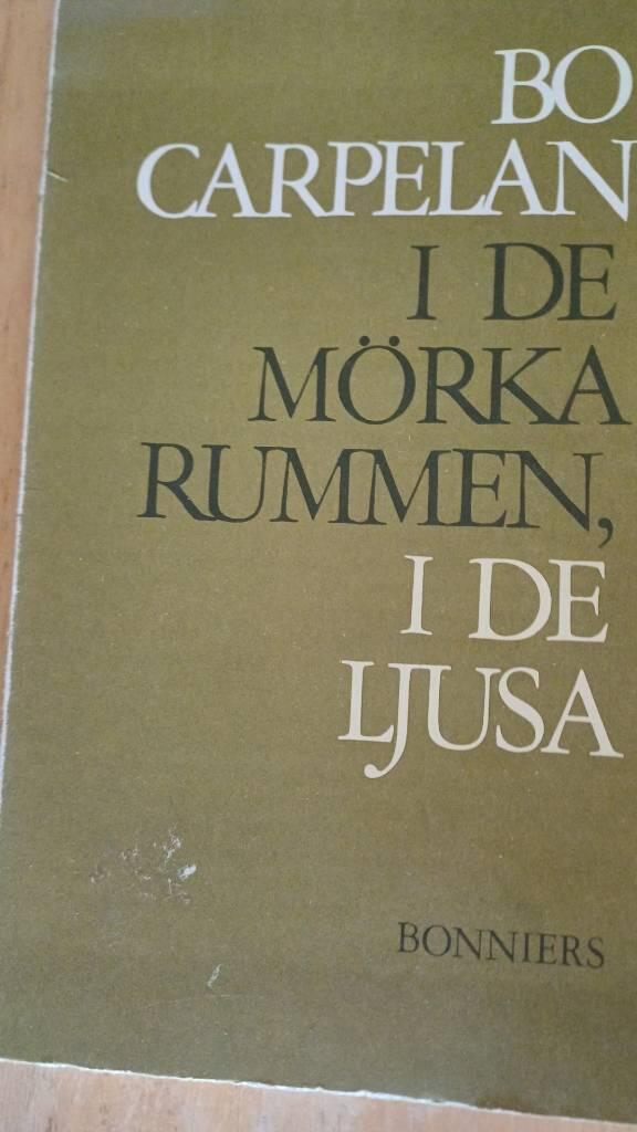 I de m&ouml;rka rummen, i de ljusa