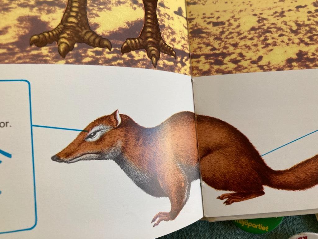 Den fantastiska resan : om jordens uppkomst och utveckling