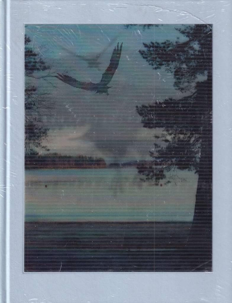 Eija-Liisa Ahtila - parallella v&auml;rldar