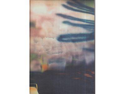 Katharina Grosse : infinite logic conference : Mar 27-Jun 6