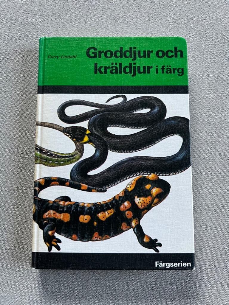 Groddjur och kr&auml;ldjur i f&auml;rg