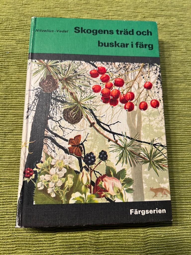 Skogens träd och buskar i färg