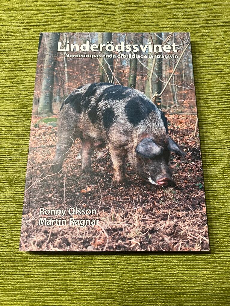 Linder&ouml;dssvinet - Nordeuropas enda of&ouml;r&auml;dlade lantrassvin