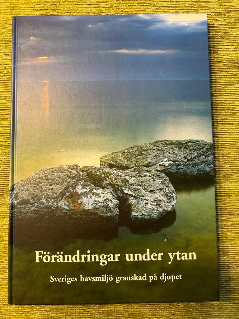 F&ouml;r&auml;ndringar under ytan
