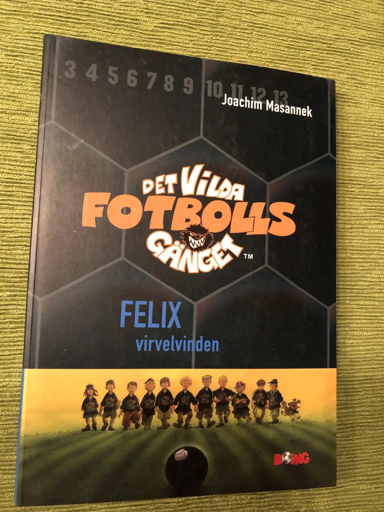 Det vilda fotbollsg&auml;nget