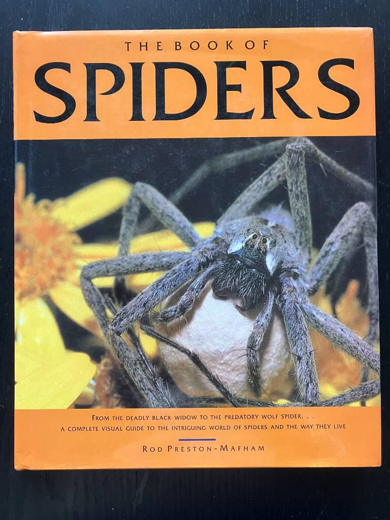 The book of spiders