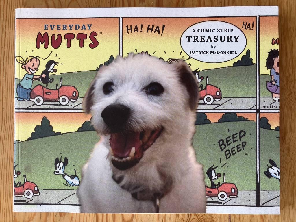 Everyday Mutts