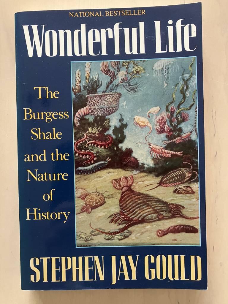 Wonderful life