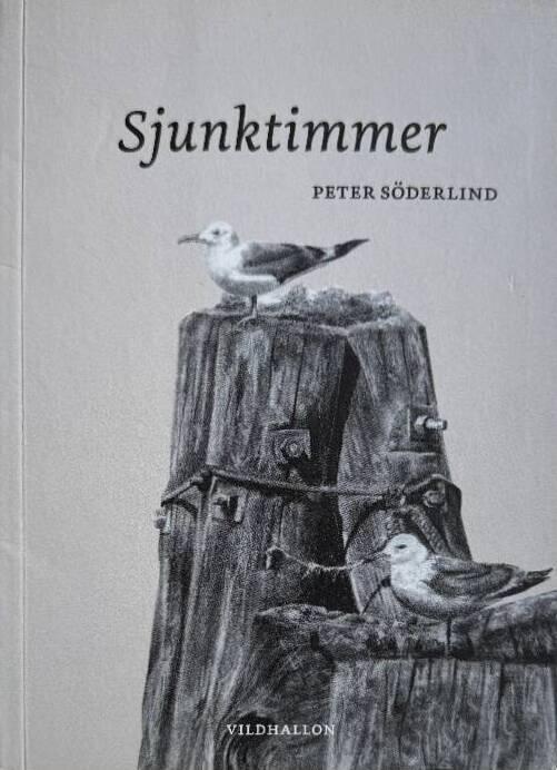 Sjunktimmer