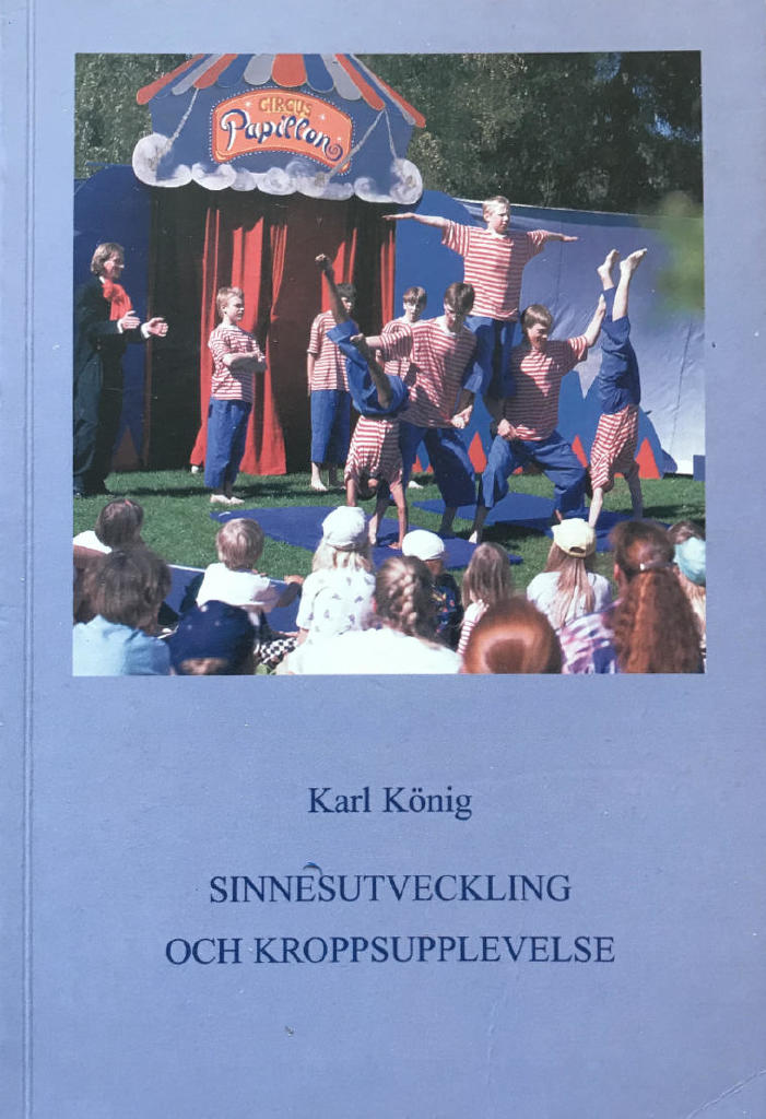 Sinnesutveckling och kroppsupplevelse - l&auml;kepedagogiska synpunkter i anslutning till Rudolf Steiners sinnesl&auml;ra