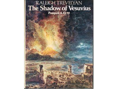 The shadow of Vesuvius : Pompeii AD 79