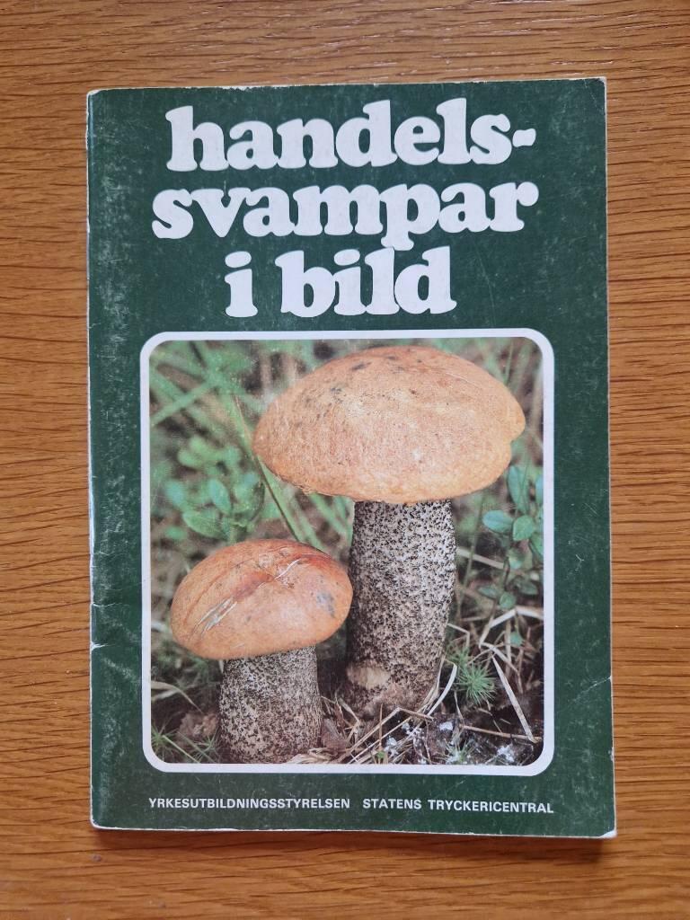 Handelssvampar i bild