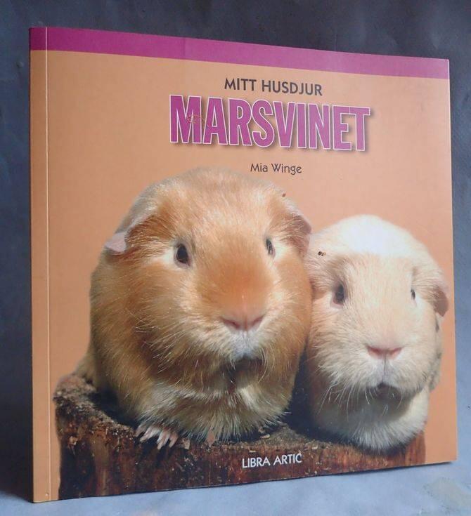 Mitt husdjur Marsvinet